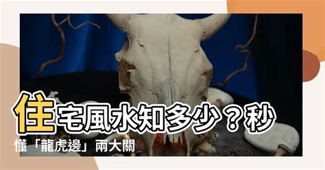 住宅龍虎邊|【住宅龍虎邊】住宅風水知多少？秒懂「龍虎邊」兩大。